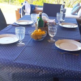 Mantel Impermeable lunares azul y blanco