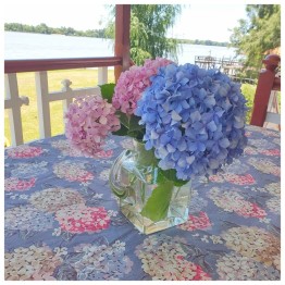 Mantel Impermeable hortensias celeste