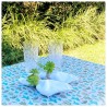 Mantel impermeable cactus