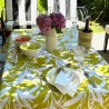 Pili Deco.Mantel antimanchas Pastos Lima