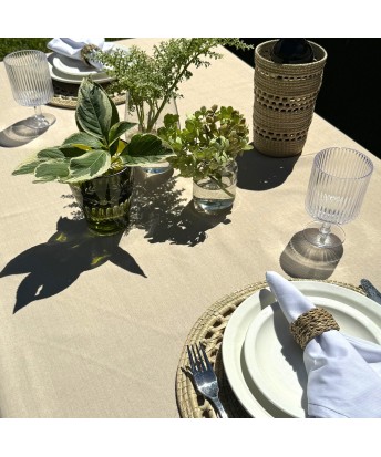 Pili Deco.Mantel antimanchas beige