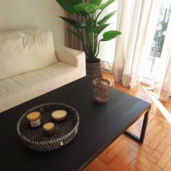 Pilideco.Mesa ratona vetas negra