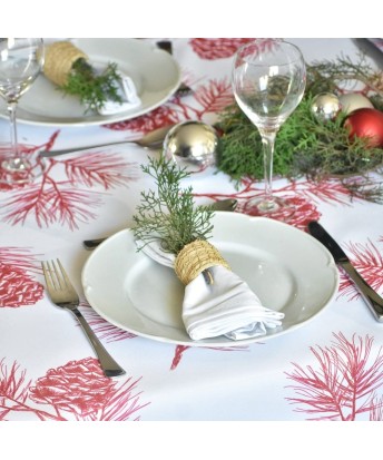 Pili Deco.Mantel antimanchas jardines agua
