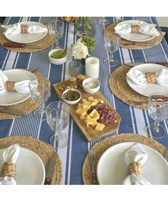 Pili Deco.Mantel antimanchas mantel Raya Griega Celeste y blanco